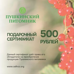 Подарочный сертификат 500