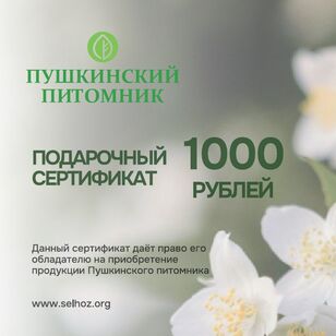 Подарочный сертификат 1000