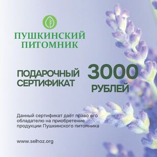 Подарочный сертификат 3000