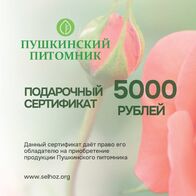 Подарочный сертификат 5000