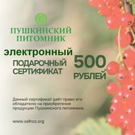 Электронный подарочный сертификат 500