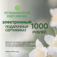 Электронный подарочный сертификат 1000