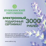 Электронный подарочный сертификат 3000