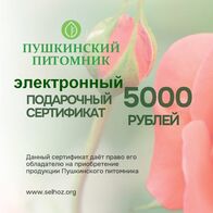 Электронный подарочный сертификат 5000